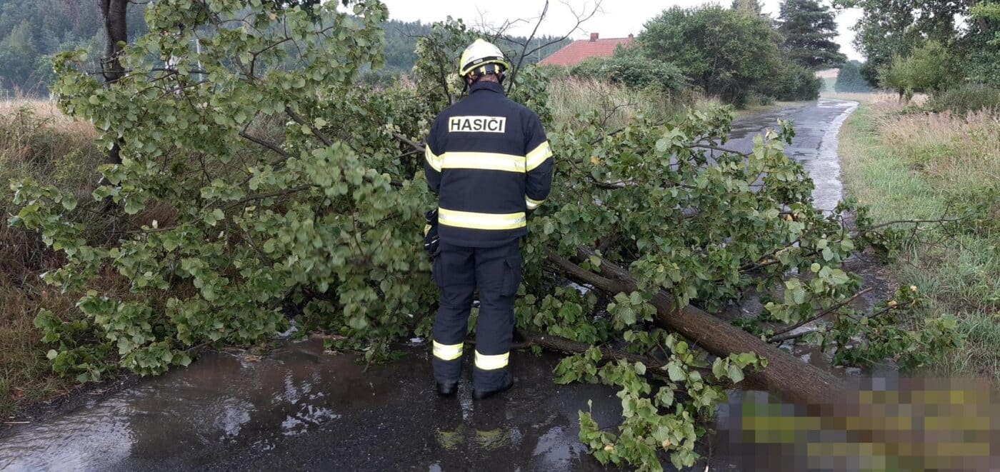 Středočeští hasiči odstraňují popadané stromy. Foto: HZS