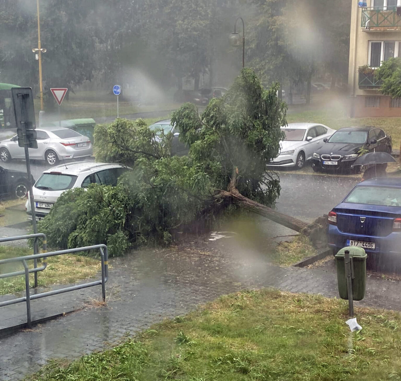 Vyvrácený strom v Havířově v ulici Antala Staška. Foto: Libor Novotný