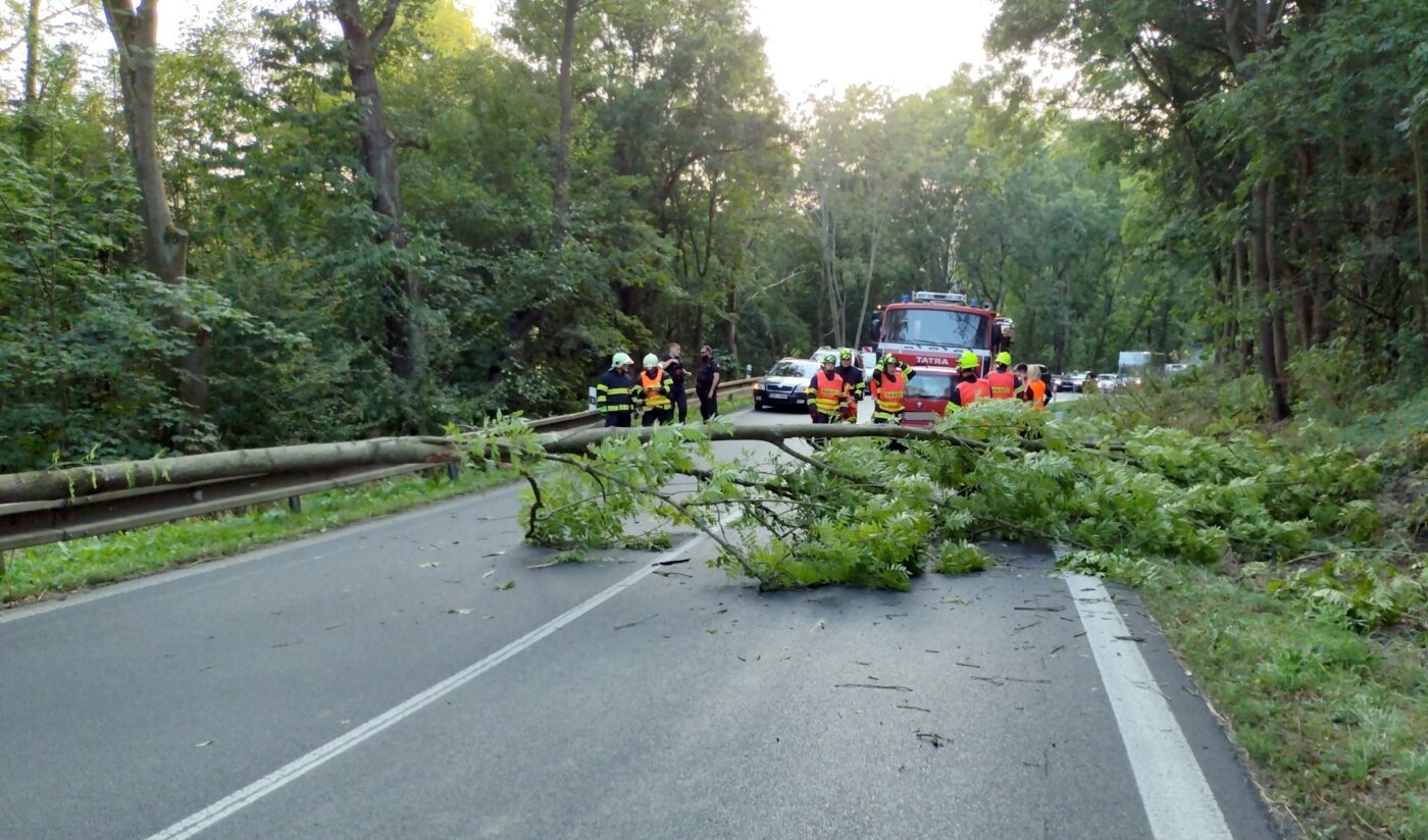 U Stráže nad Ohří se zřítil strom na auto. Foto: HZS