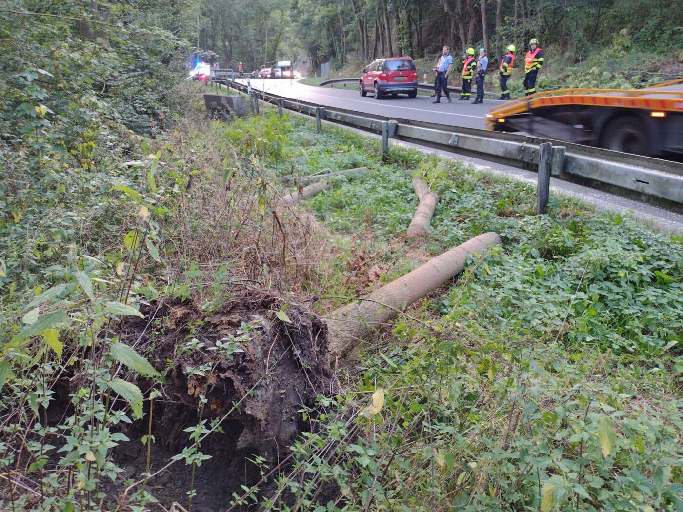 U Stráže nad Ohří se zřítil strom na auto. Foto: HZS