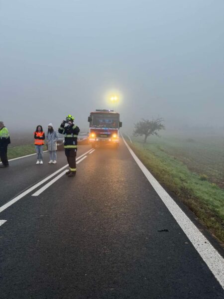 Vážná nehoda u obce Strojetice. Foto: HZS