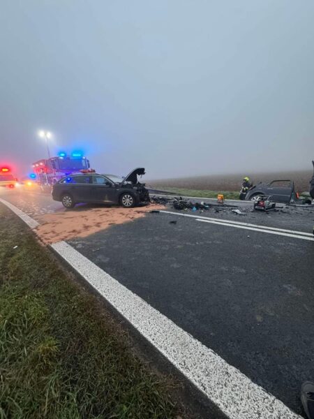 Vážná nehoda u obce Strojetice. Foto: HZS