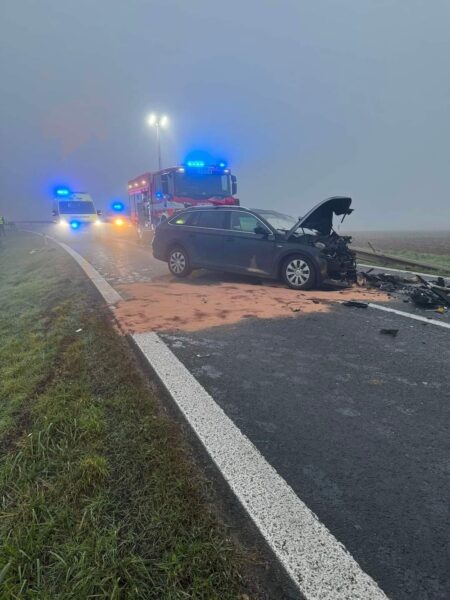 Vážná nehoda u obce Strojetice. Foto: HZS
