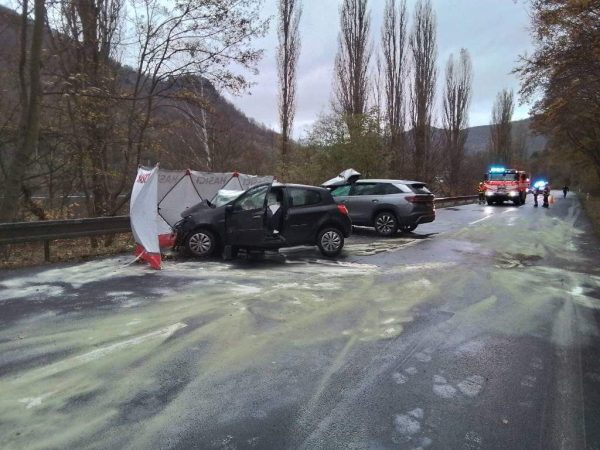 Tragická nehoda u Sebuzína na Ústecku. Foto: HZS
