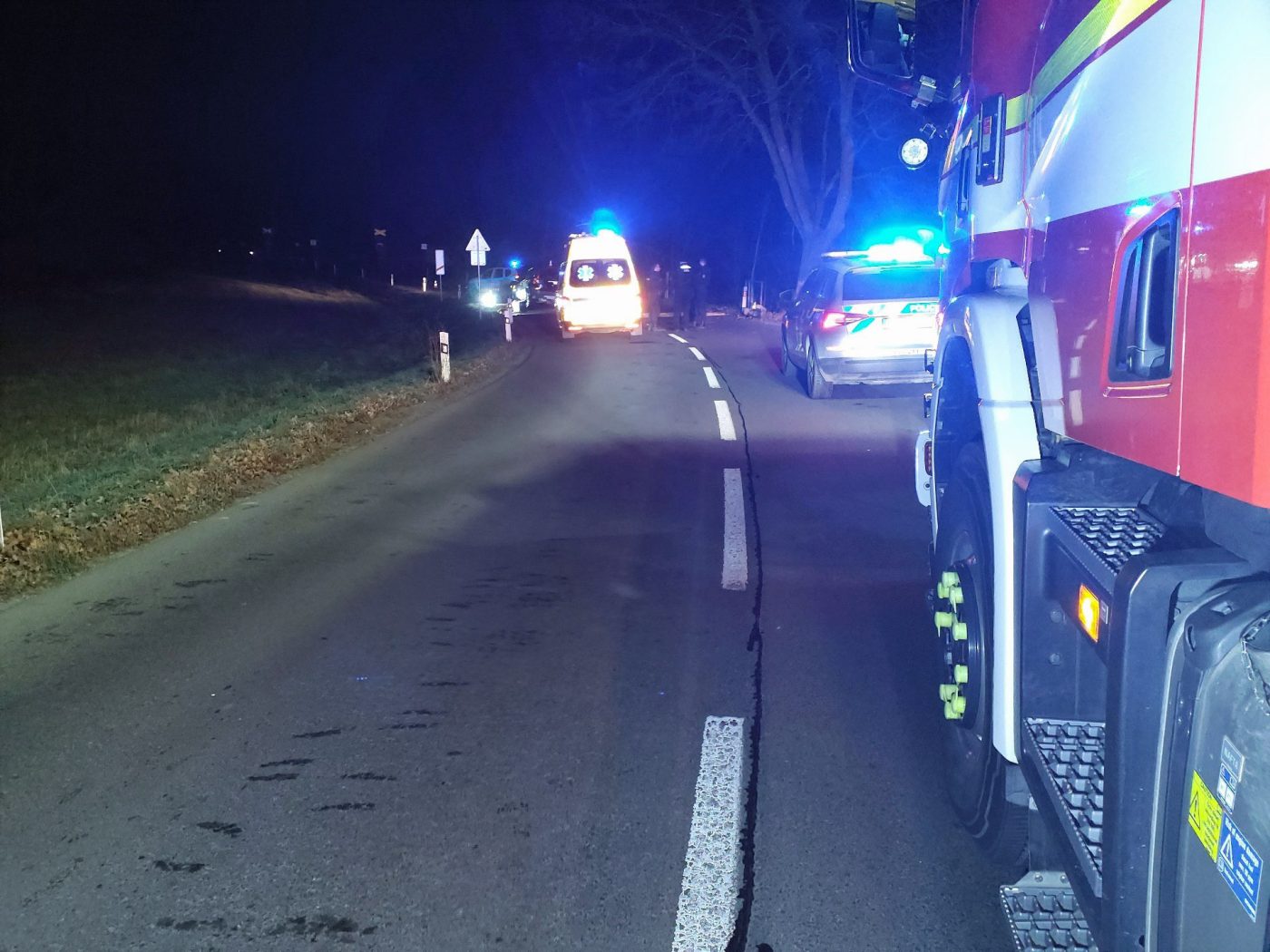 Řidička auta vyjela ze silnice narazila do stromu. Foto: HZS