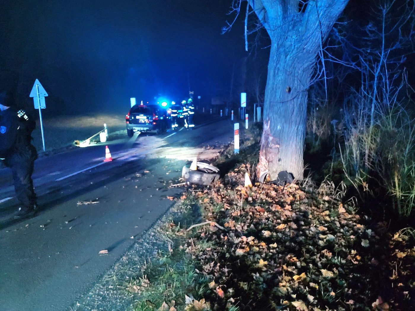 Řidička auta vyjela ze silnice narazila do stromu. Foto: HZS