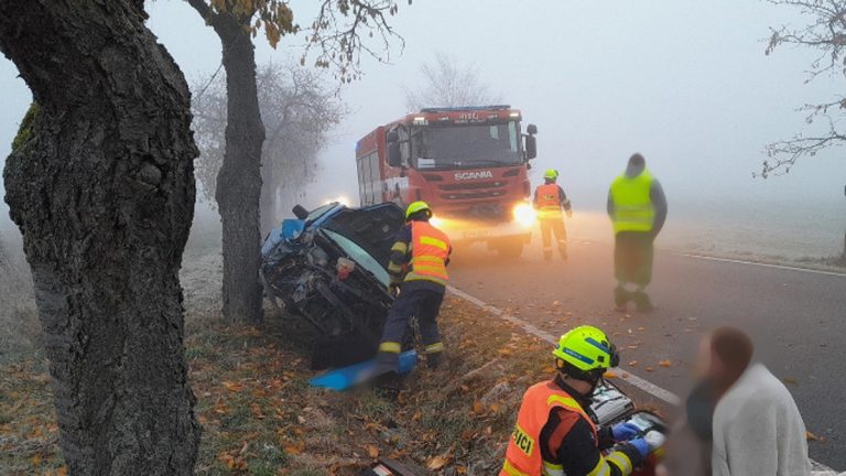 Vůz vyjel ze silnice a vrazil do stromu. Foto: HZS