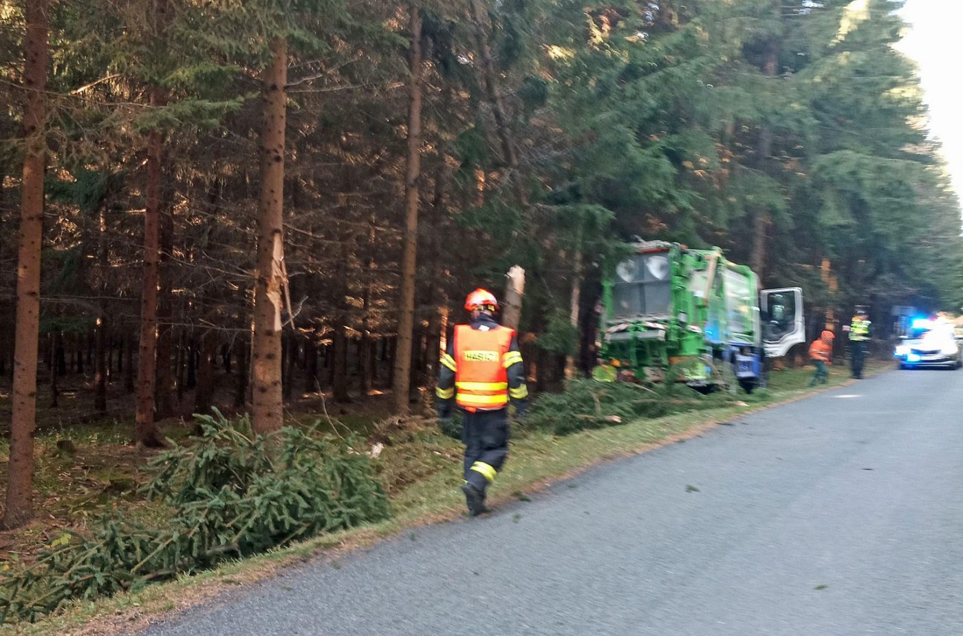 Popeláři vyjeli ze silnice a pokáceli několik stromů. Foto: HZS