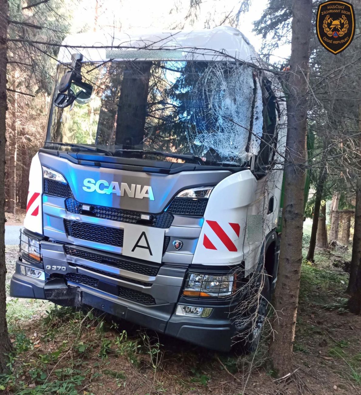 Popeláři vyjeli ze silnice a pokáceli několik stromů. Foto: HZS