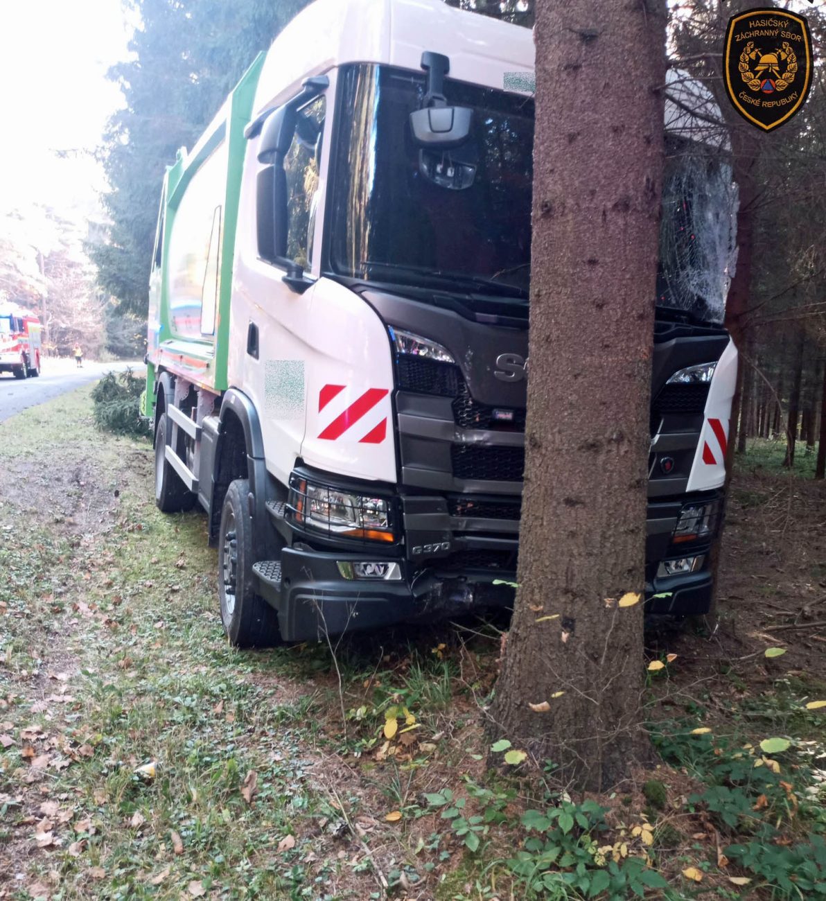 Popeláři vyjeli ze silnice a pokáceli několik stromů. Foto: HZS