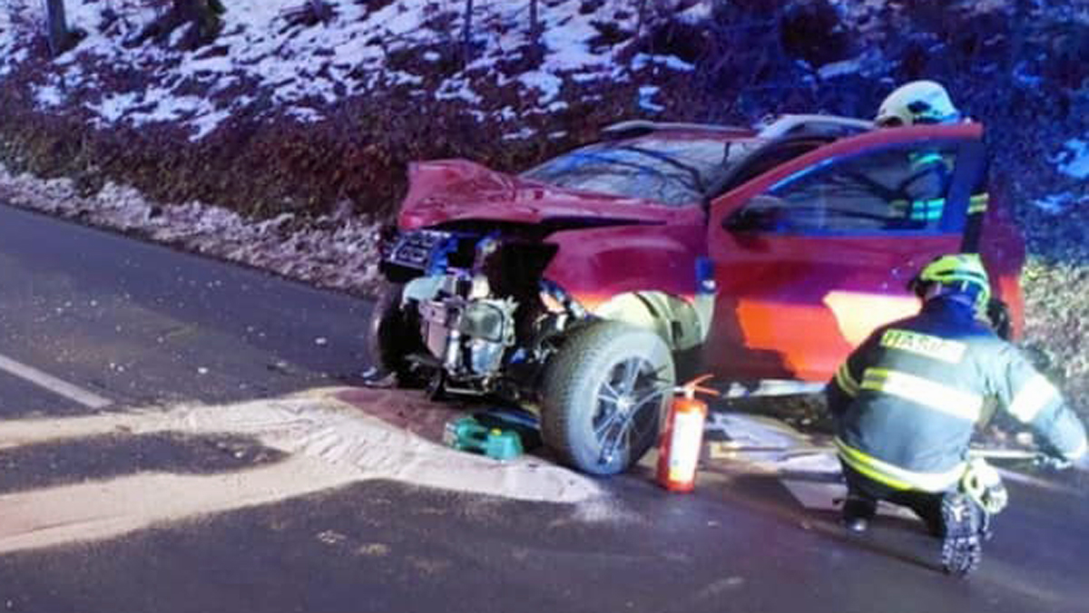 Auto narazilo do stromu u Dlouhoňovic. Foto: HZS