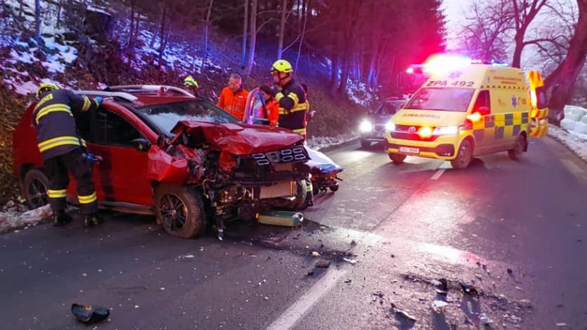 Auto narazilo do stromu u Dlouhoňovic. Foto: HZS