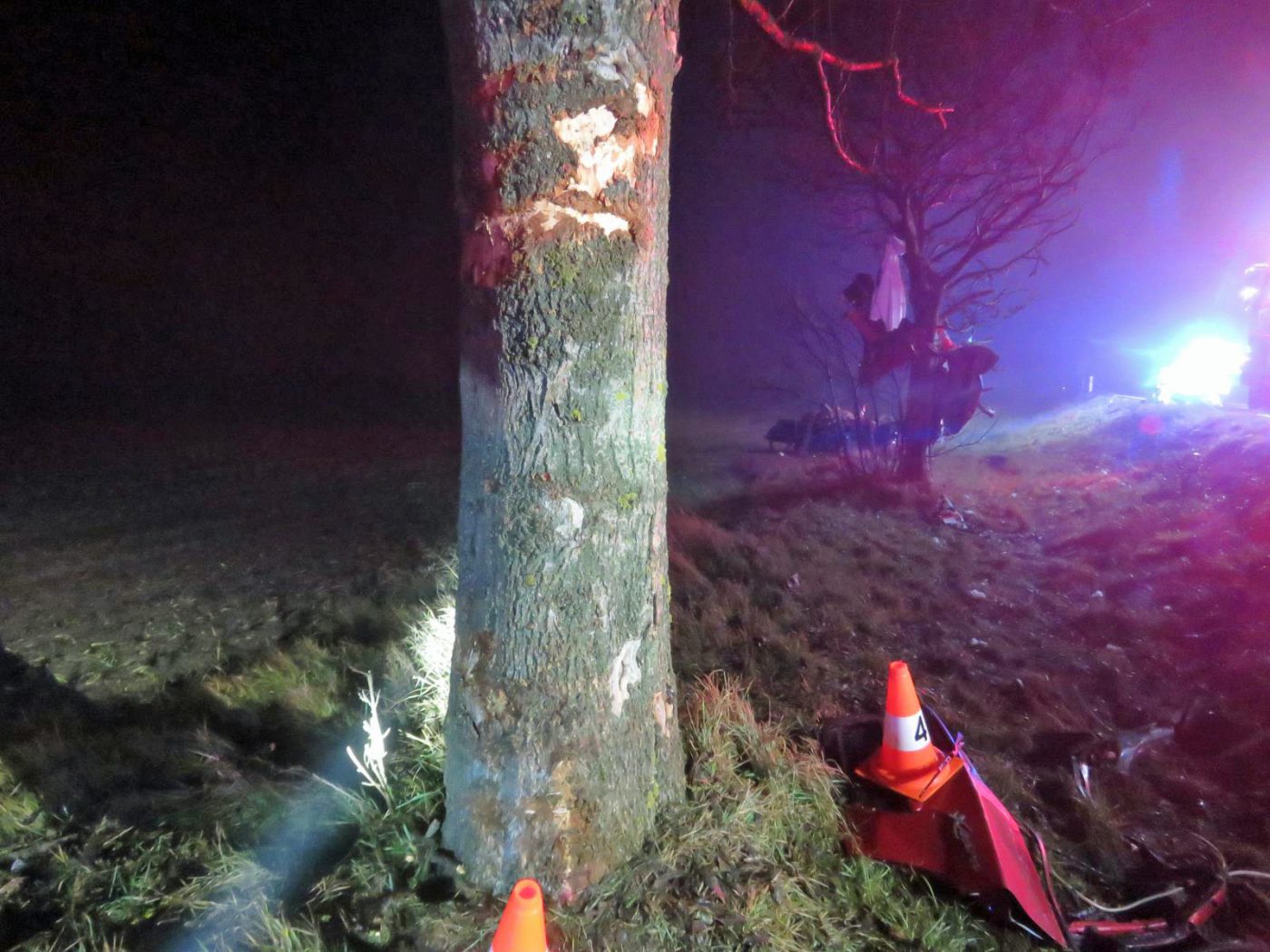 Tragická nehoda na Hradecku. Auto se rozpůlilo o strom. Foto: PČR