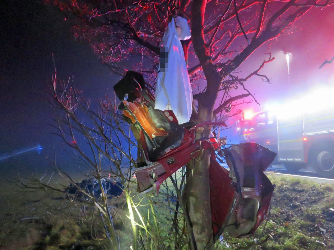 Tragická nehoda na Hradecku. Auto se rozpůlilo o strom. Foto: PČR