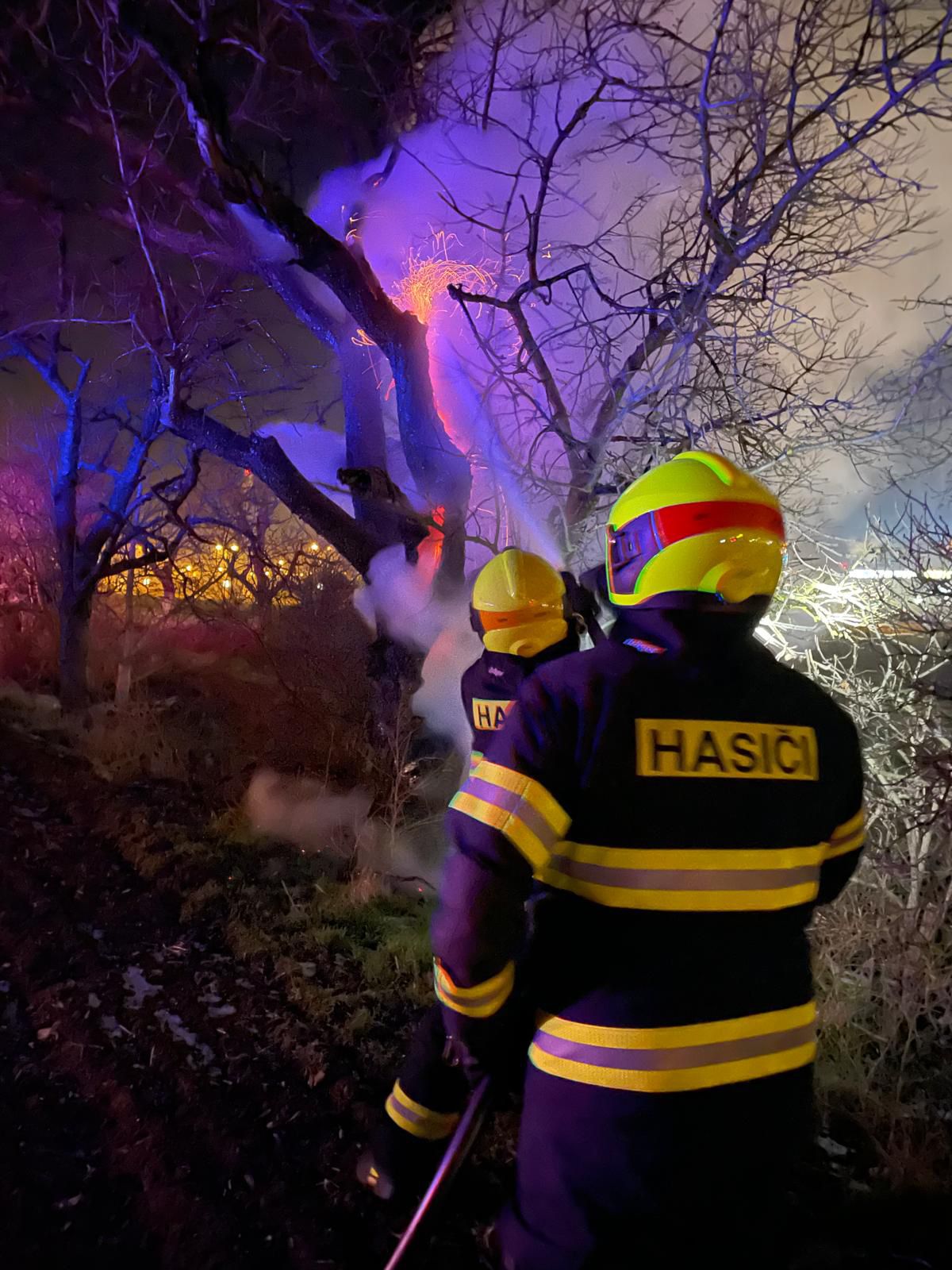 Od pyrotechniky chytil v Praze keř. Foto: HZS