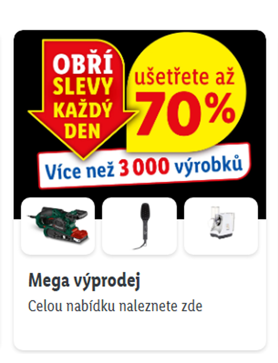 Akce Lidlu na webu. Zdroj: Lidl