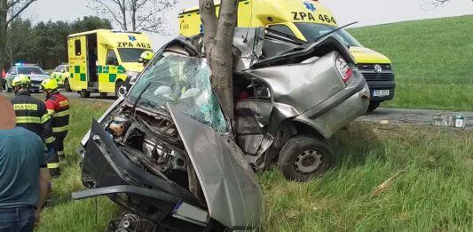 Tragická nehoda u Českých Heřmanic. Foto: HZS
