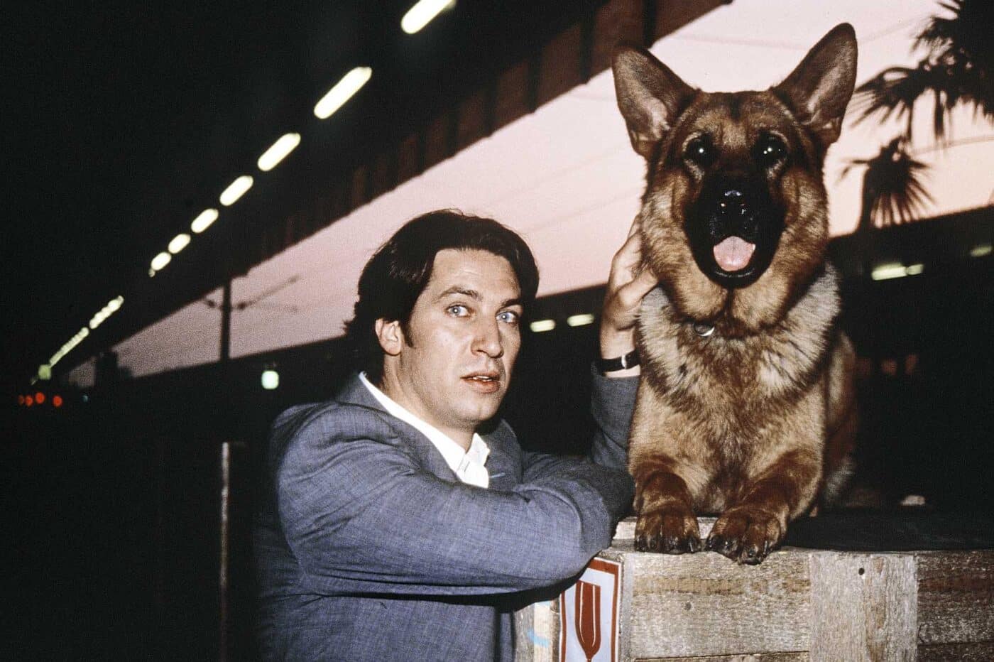 Seriál Komisař Rex se vrací na Prima Krimi. Foto: Prima