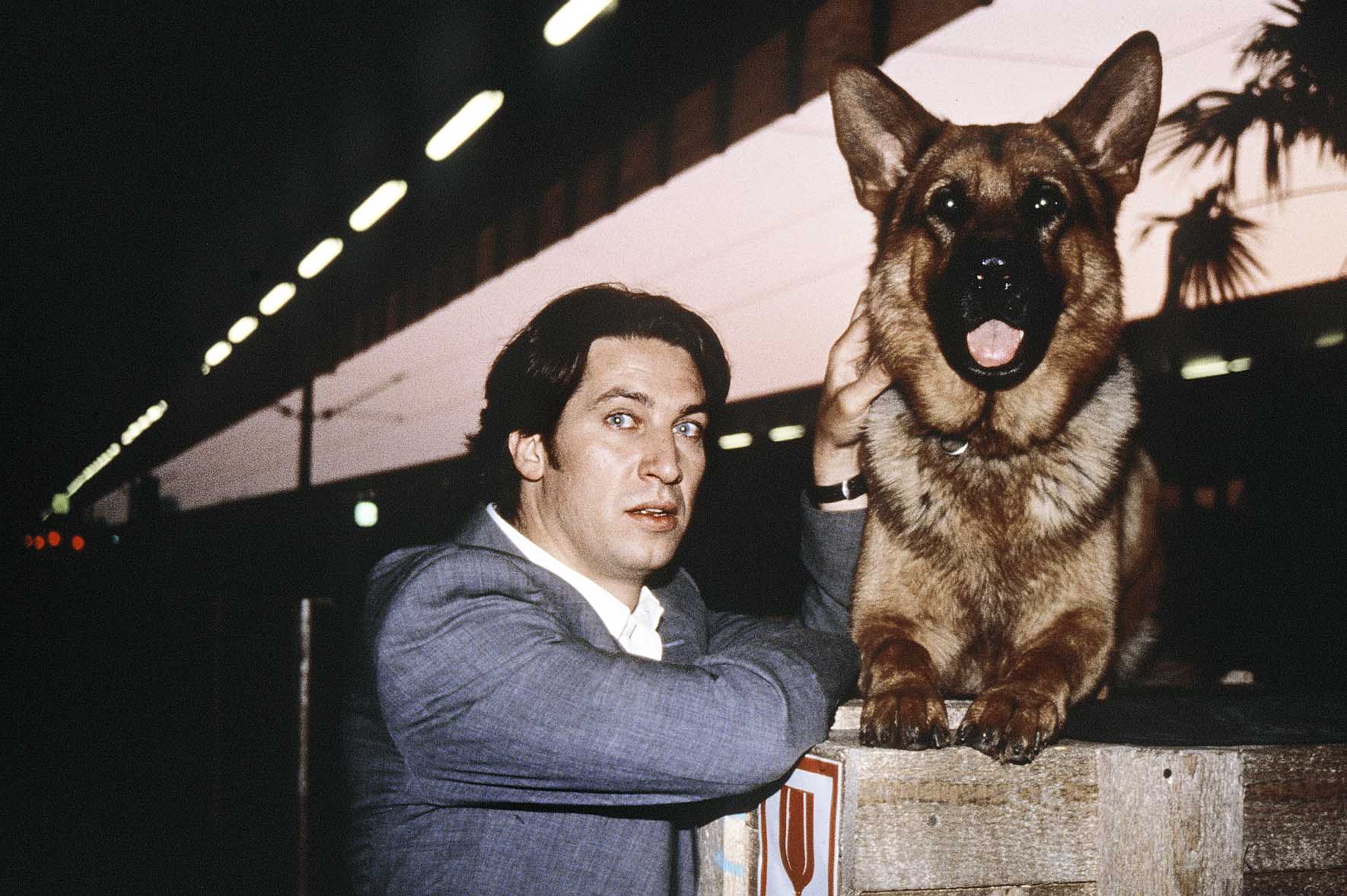 Seriál Komisař Rex se vrací na Prima Krimi. Foto: Prima