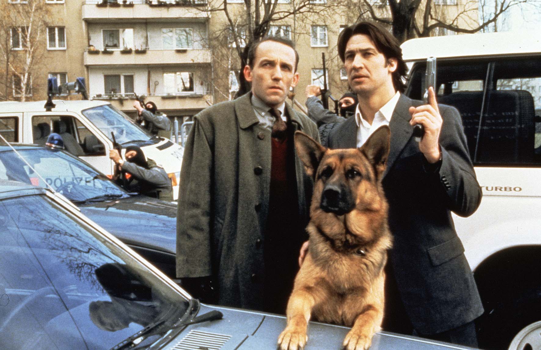 Seriál Komisař Rex se vrací na Prima Krimi. Foto: Prima