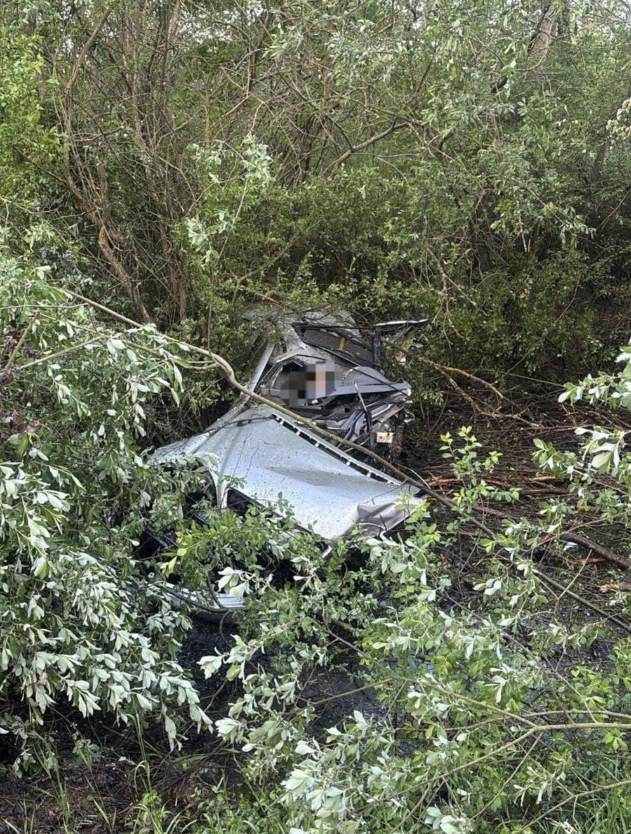 Řidič s autem vyjel ze silnice a narazil do stromu. Foto: PSR