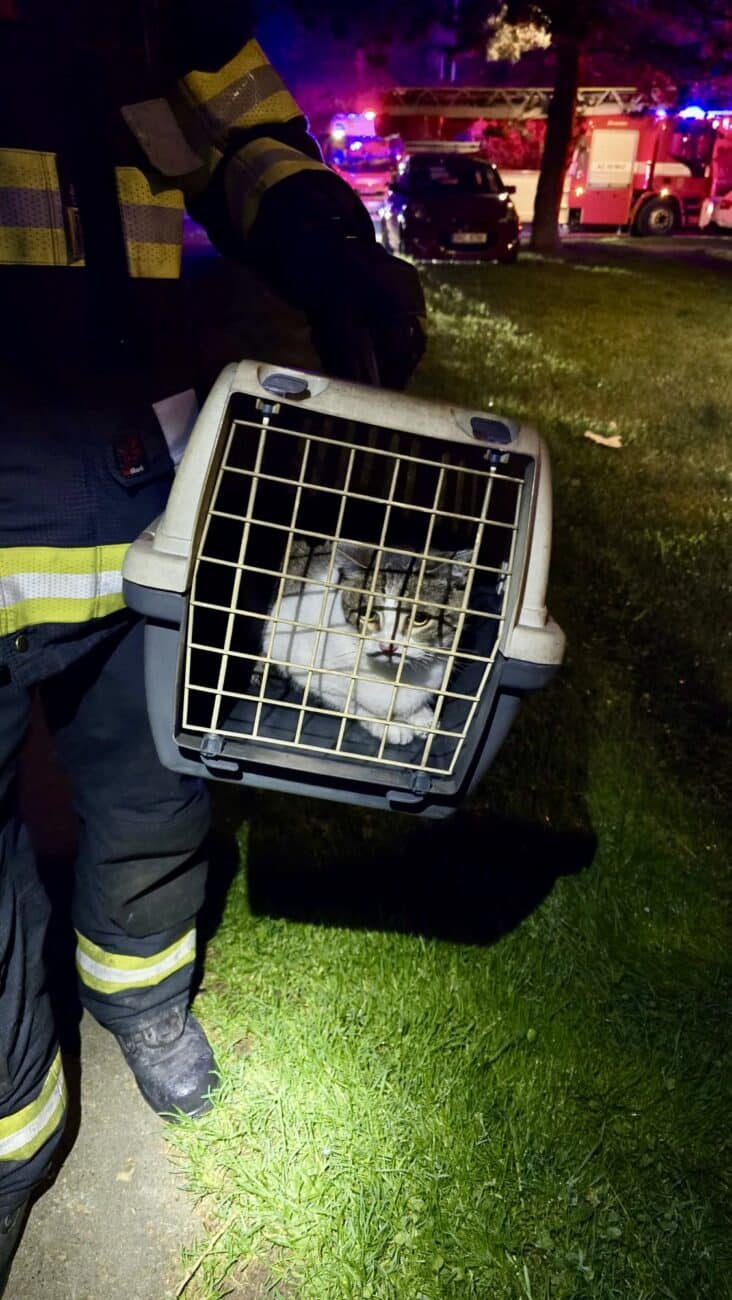 Požár bytu v Praze v ulici Na Komořsku. Foto: HZS