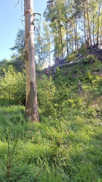Pondělní požár v národním parku České Švýcarsko. Foto: NP