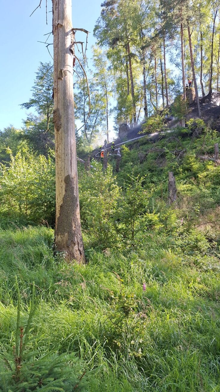 Pondělní požár v národním parku České Švýcarsko. Foto: NP