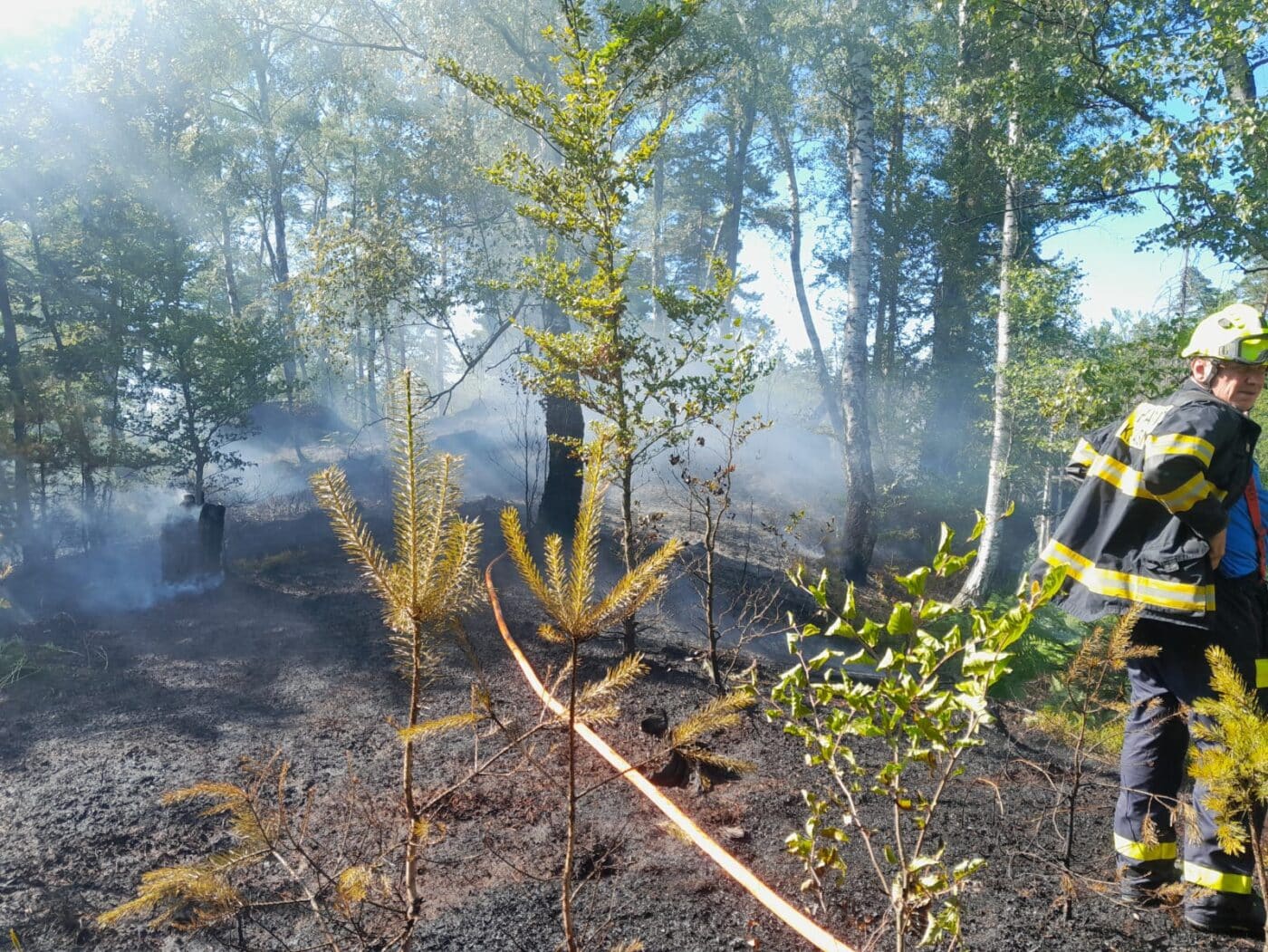 Pondělní požár v národním parku České Švýcarsko. Foto: NP