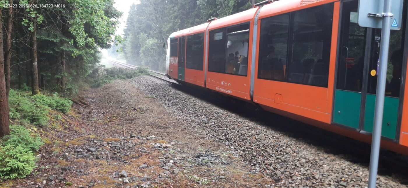 Na několika místech spadly na koleje stromy.