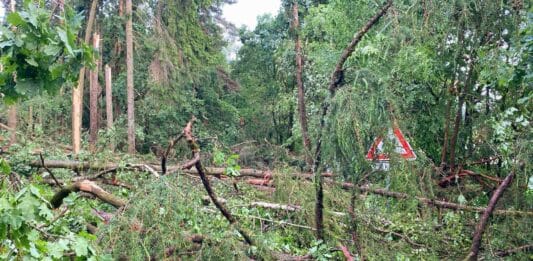 Že u Hořetic je silnice připomíná jen pod stromy vykukující dopravní značka. Foto: KSÚS