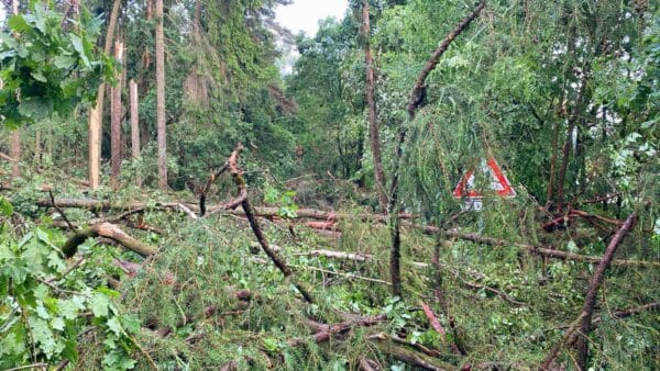 Že u Hořetic je silnice připomíná jen pod stromy vykukující dopravní značka. Foto: KSÚS