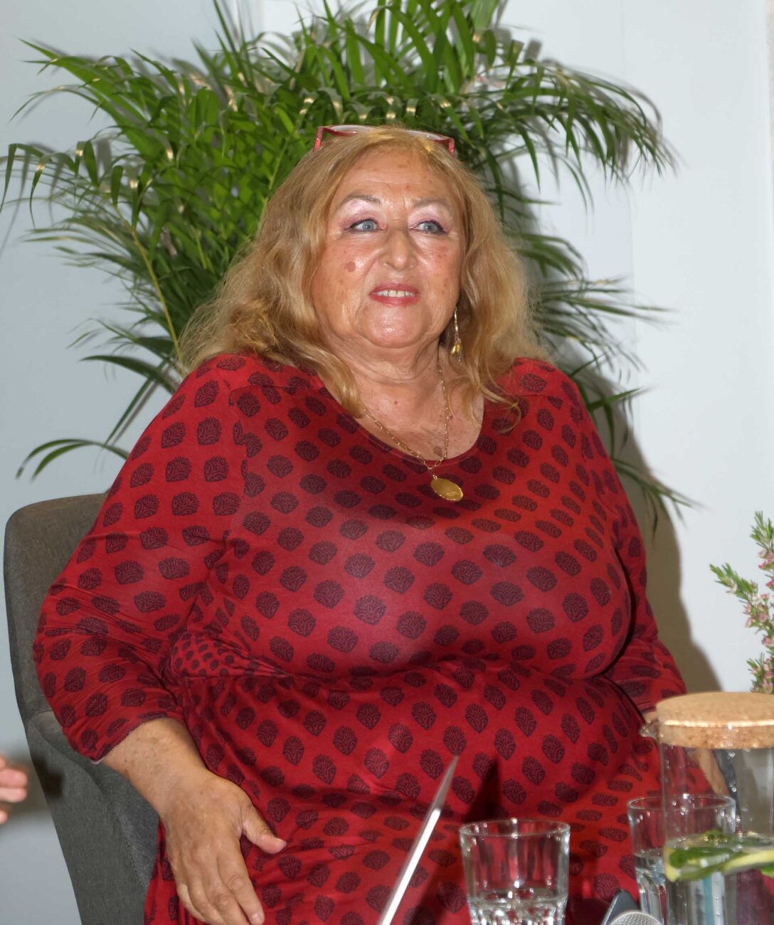 Halina Pawlowská na skutečných fotografiích ze 17. května. Foto: Nextfoto