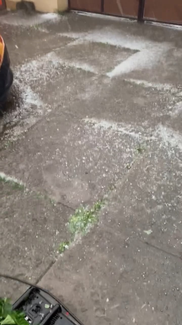 VIDEO: Kroupy v Nymburku. Autor: Tomáš Misař