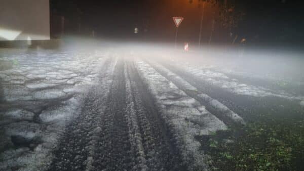 Kroupy na silnici v obci Sadská. Foto: Město Sadská