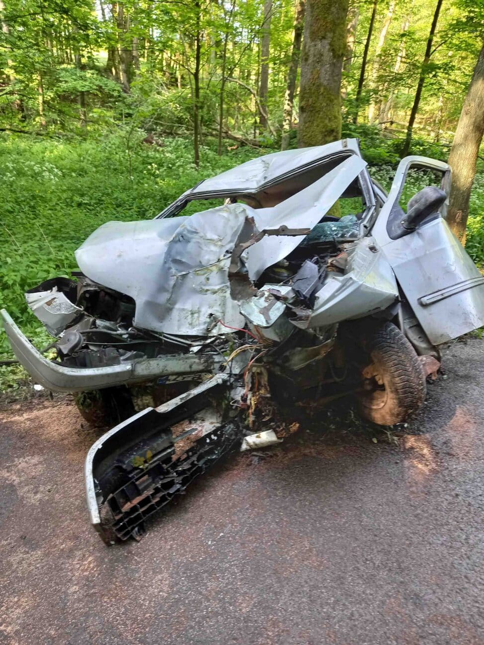 Tragická nehoda u Mladých Buků. Foto: HZS