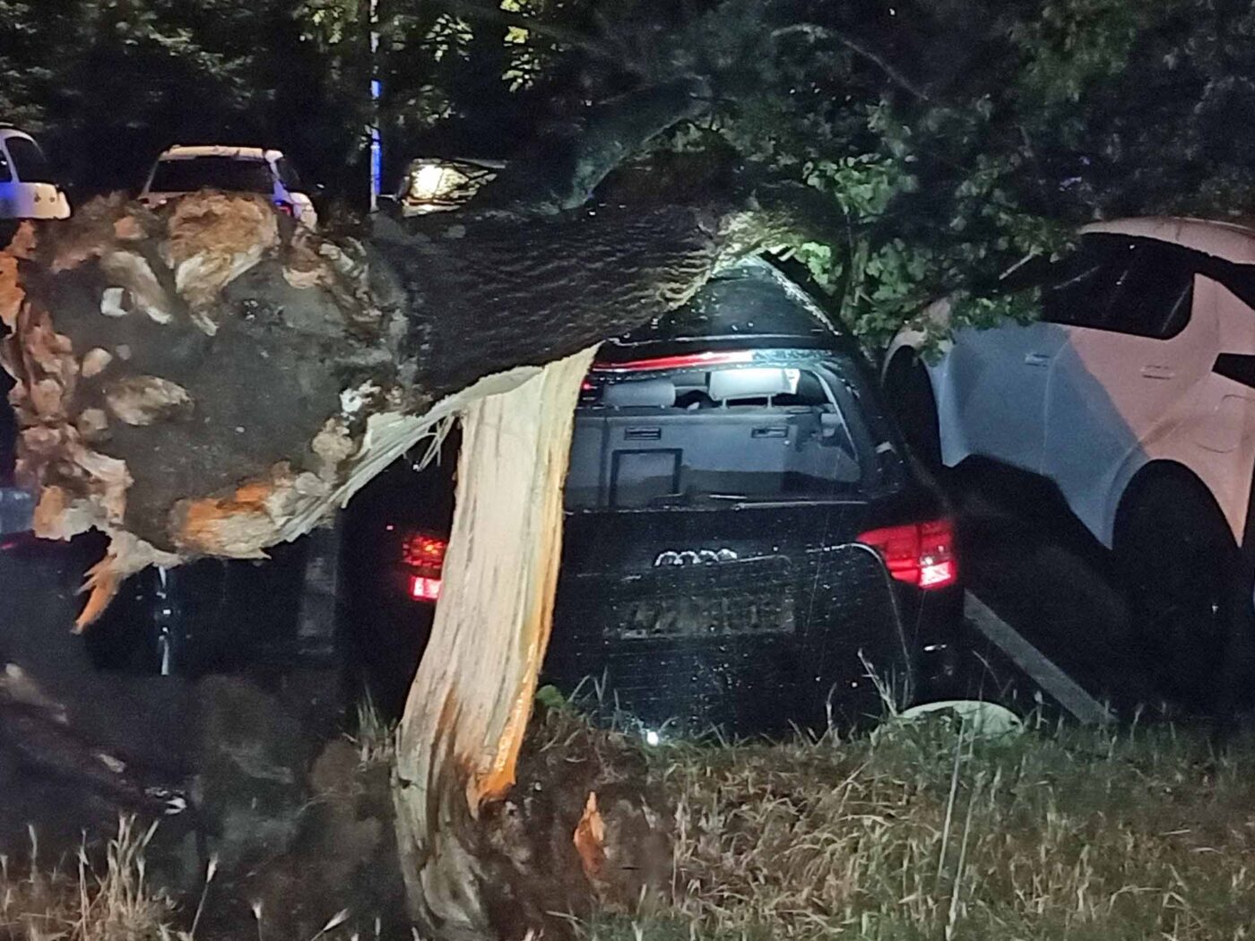 Některé stromy poškodily zaparkovaná auta. Foto: HZS