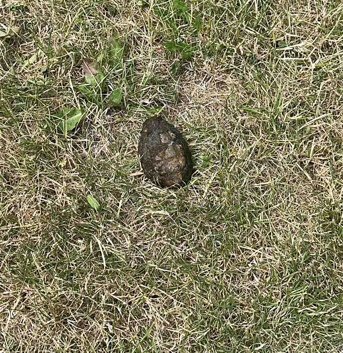 V Brněnské přehradě našlo dítě tento granát.