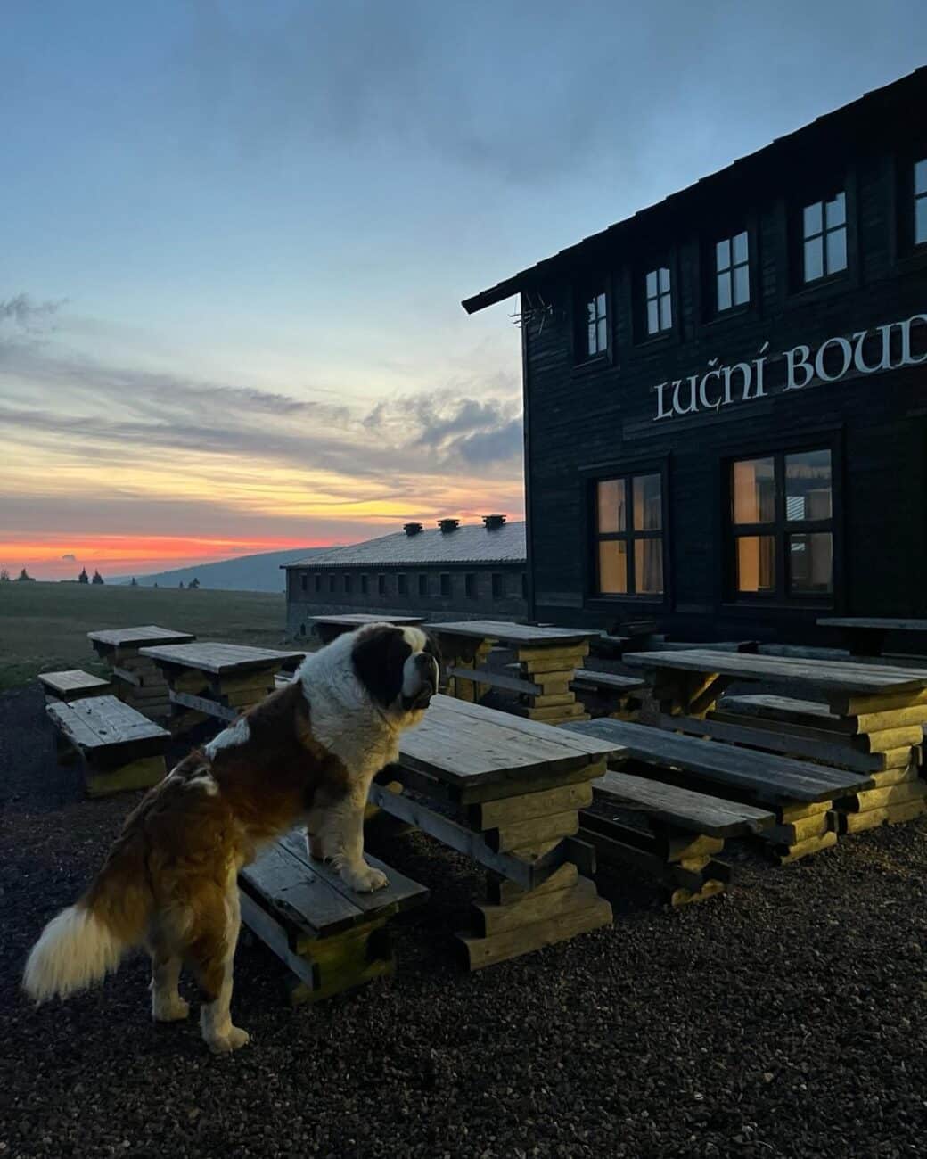 Luční bouda se znovu otevírá turistům. Zdroj: FB/Luční bouda