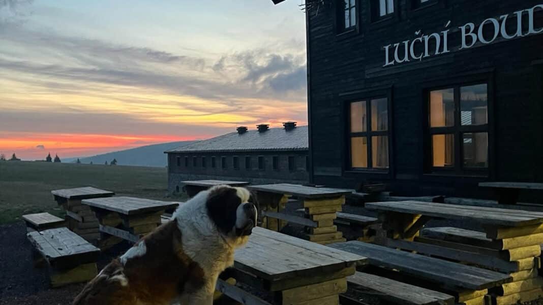 Luční bouda se znovu otevírá turistům. Zdroj: FB/Luční bouda