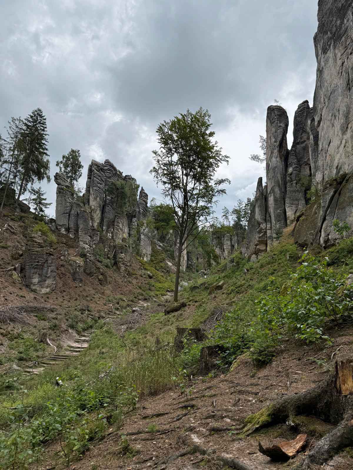 Prachovské skály. Foto: ČRzprávy