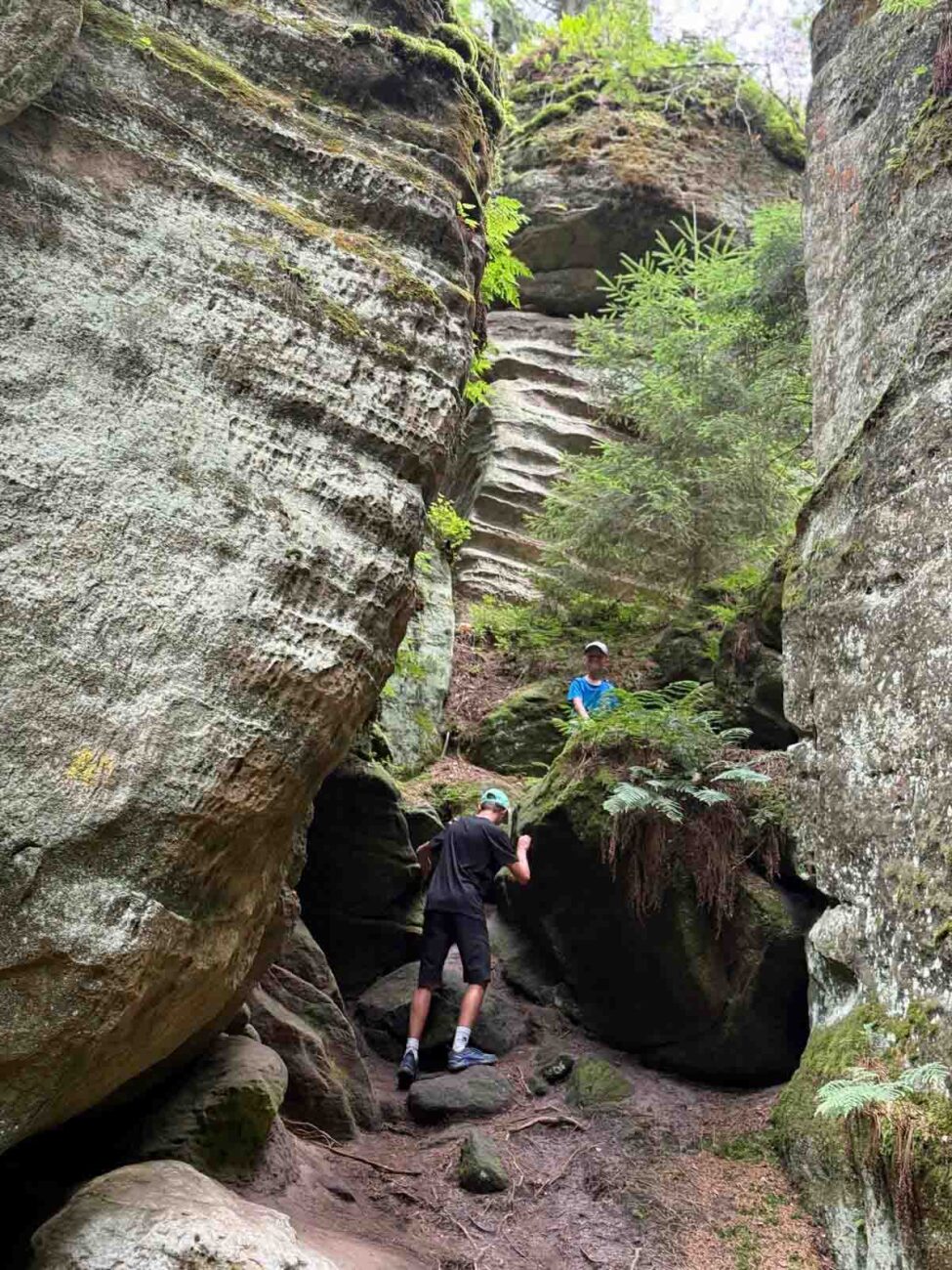 Prachovské skály si děti rychle oblíbí. Foto: ČRzprávy
