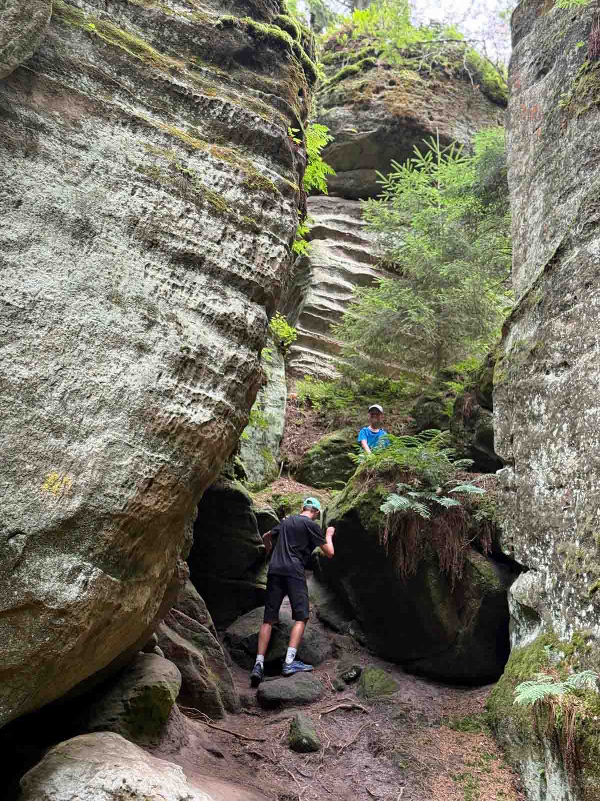 Prachovské skály si děti rychle oblíbí. Foto: ČRzprávy