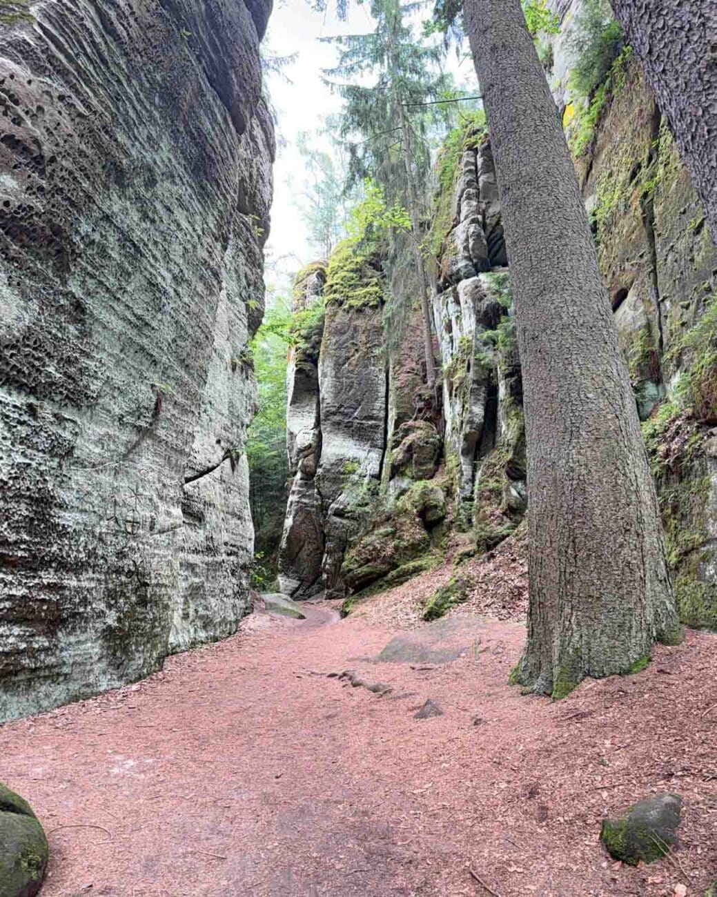 Průchod Prachovskými skálami. Foto: ČRzprávy.cz