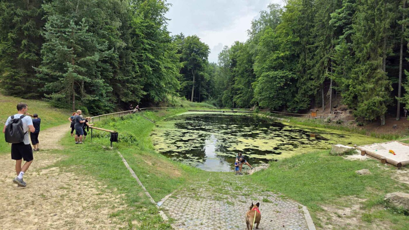 Věděli jste, že u Prachovských skal je zapomenuté přírodní koupaliště? Foto: ČRzprávy