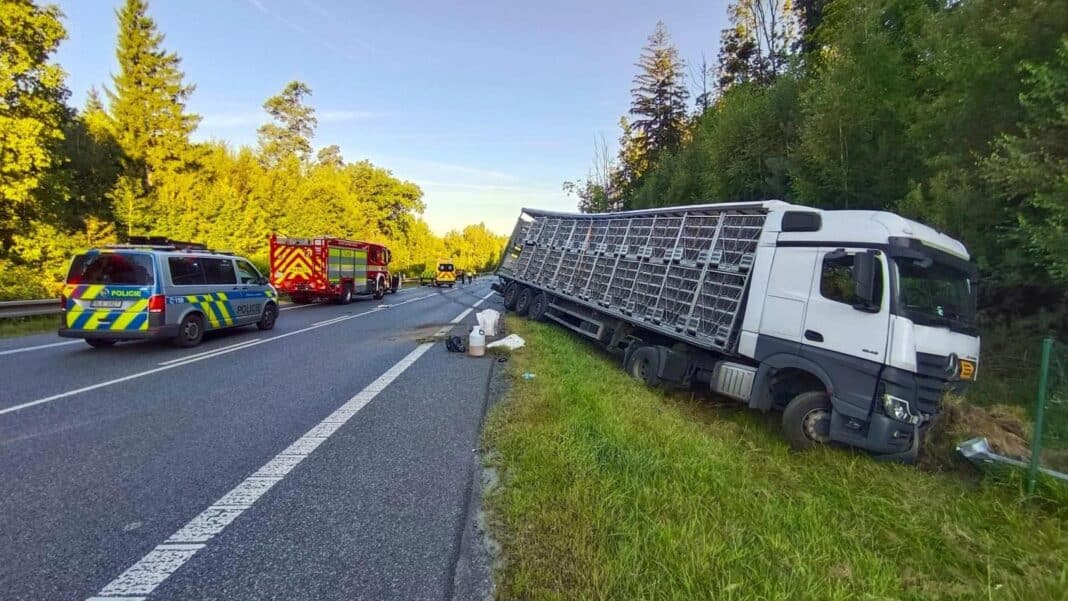 Tragická nehoda u Václavic. Foto: HZS