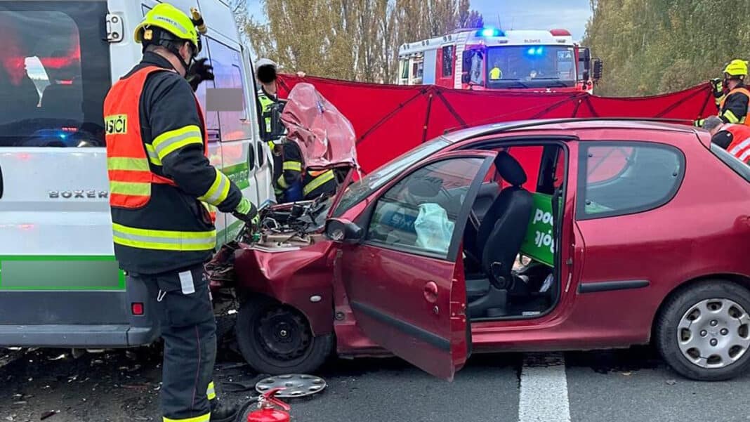 Vážná nehoda u Seče. Foto: HZS
