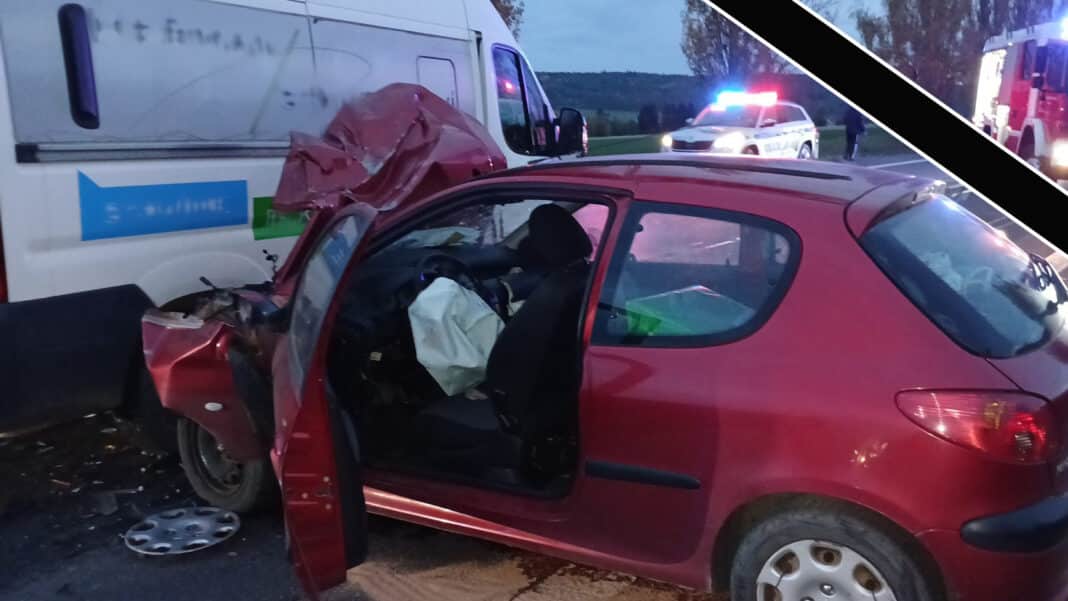 Nehoda u Seče skončila tragicky, dívenka zemřela. Foto: HZS