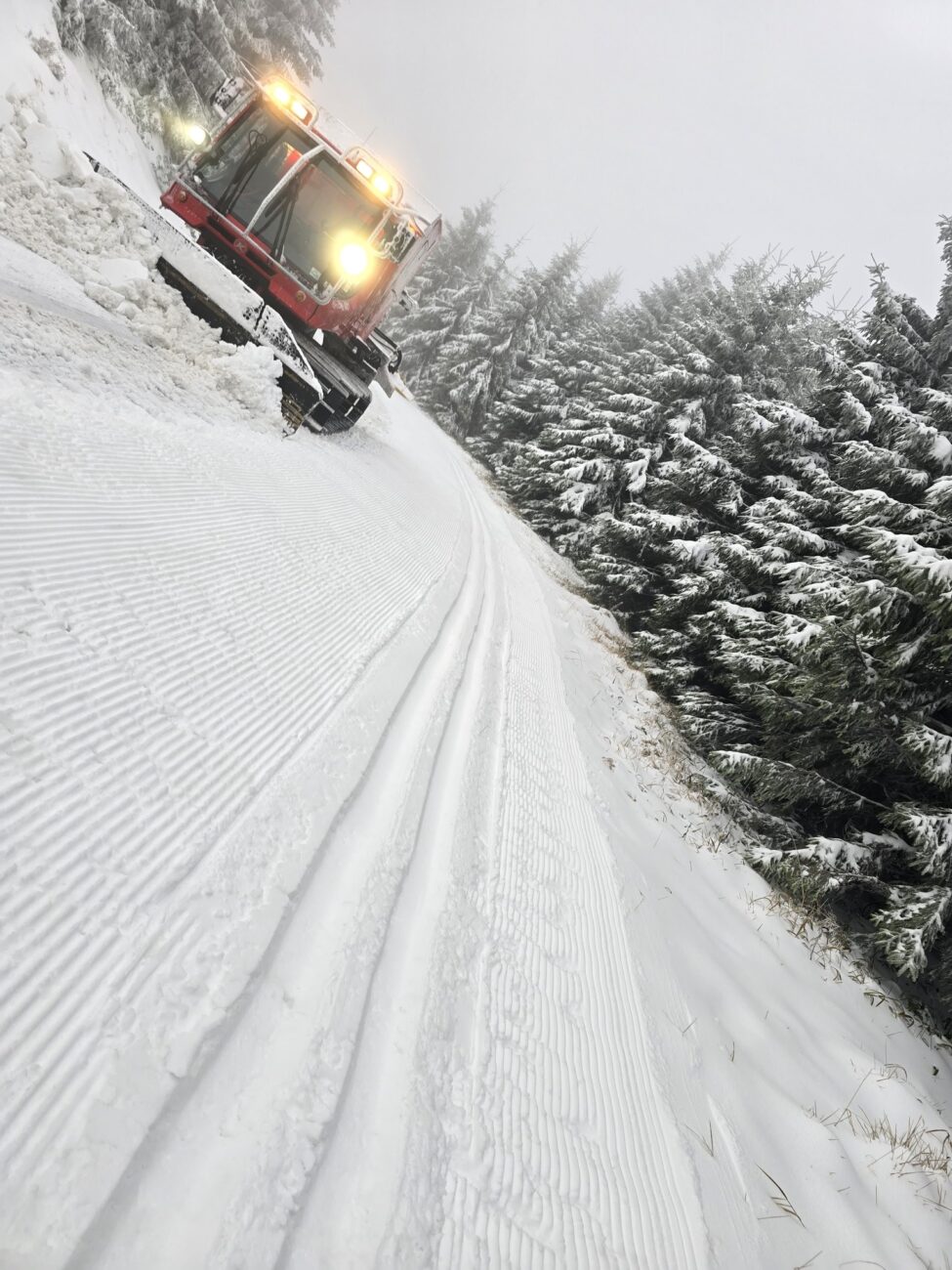 První běžecká stopa na Pradědu. Foto: Jdemenabezky.cz