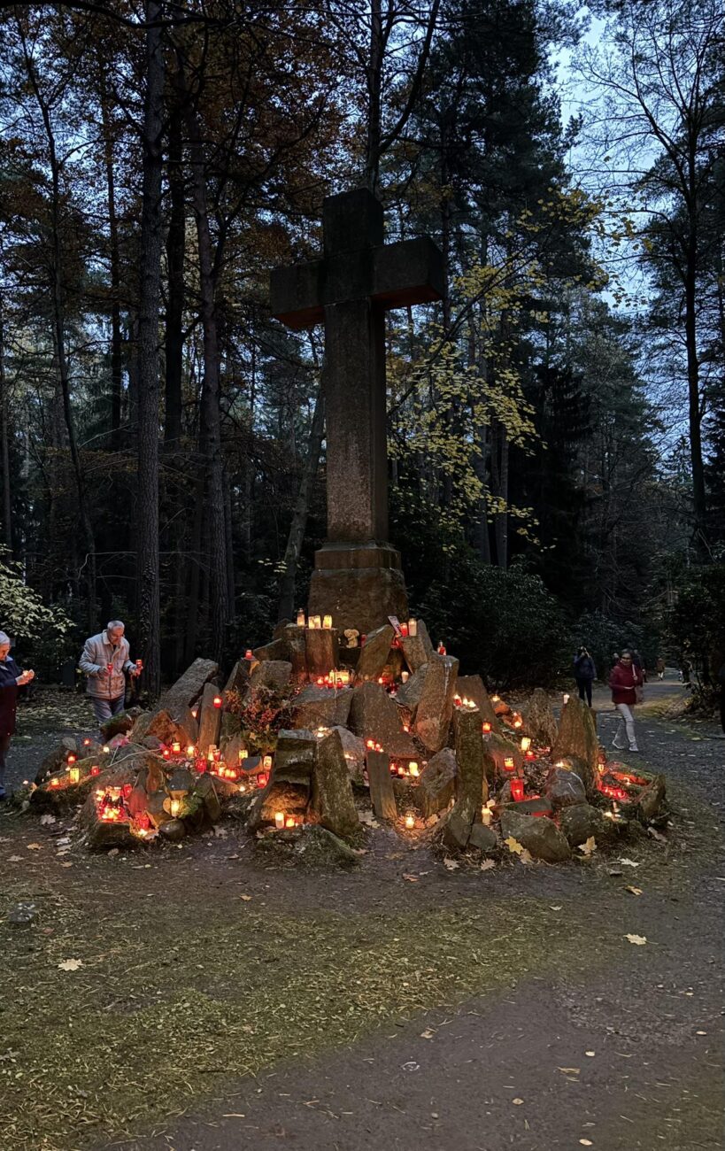 Září také lesní hřbitov v Novém Boru. Foto: Miluše Mrkvičková